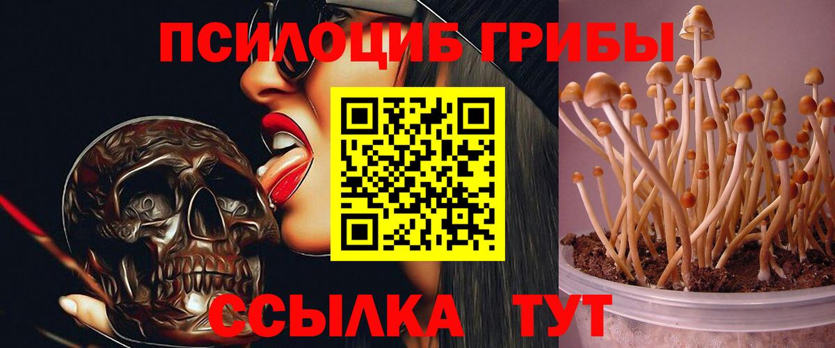 Псилоцибиновые грибы GOLDEN TEACHER  где купить наркоту  Уварово  Вход с VPN 