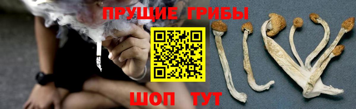 Галлюциногенные грибы MAGIC MUSHROOMS Уварово